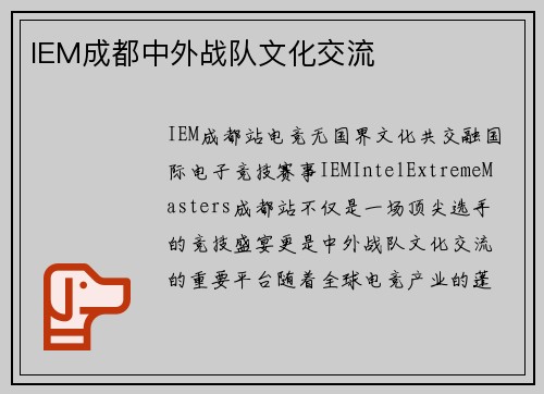 IEM成都中外战队文化交流